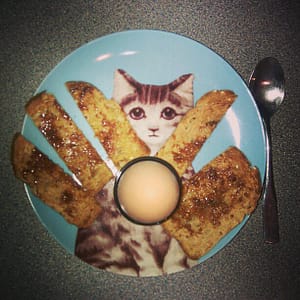 cat egg
