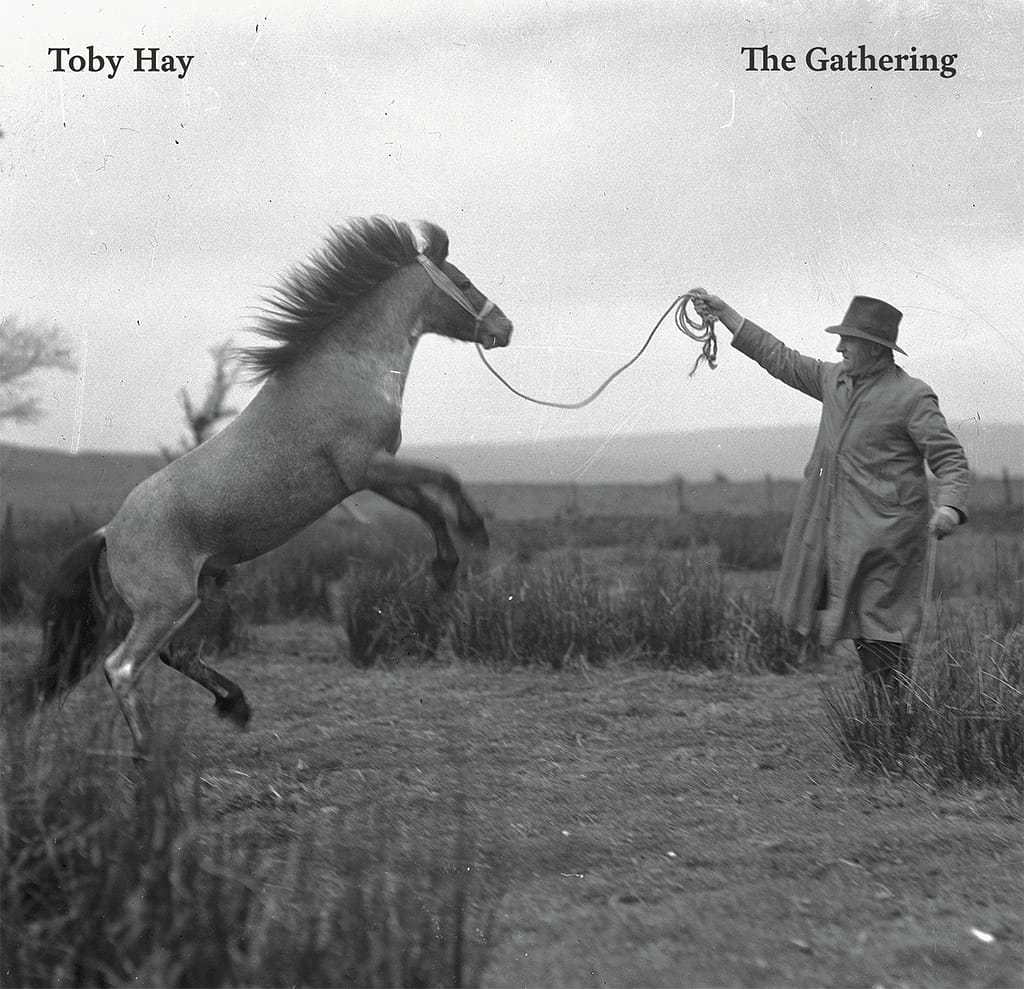 Tobyhay_Gathering_packshot